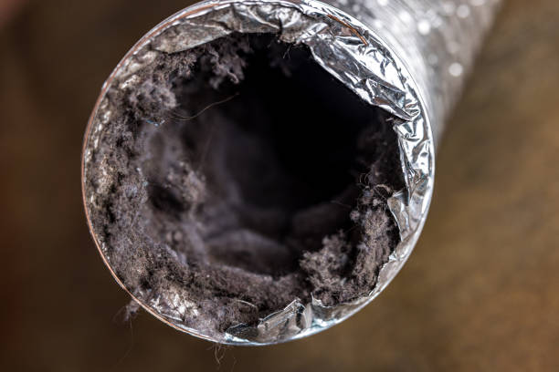 Best Affordable HVAC Duct Cleaning  in Wyoming, IL