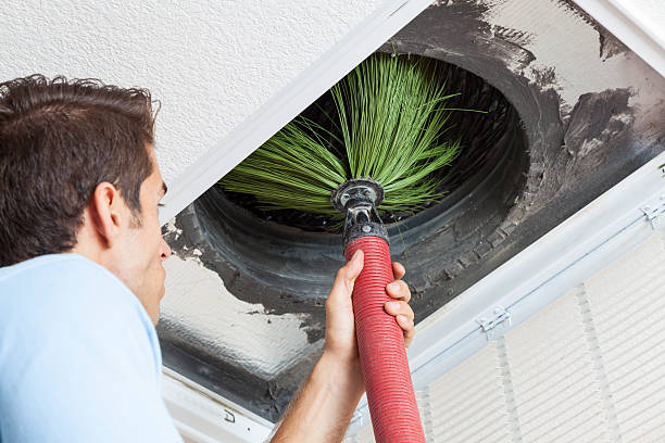 Best HVAC Air Duct Cleaning  in Wyoming, IL