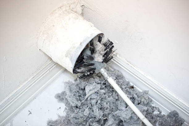 Best Emergency Air Duct Cleaning  in Wyoming, IL