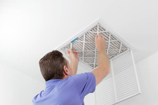 Best Home Air Vent Cleaning  in Wyoming, IL